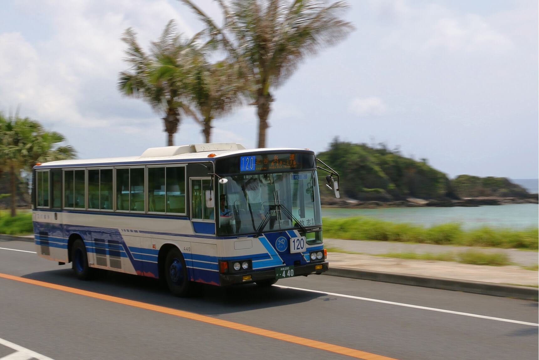 bus
