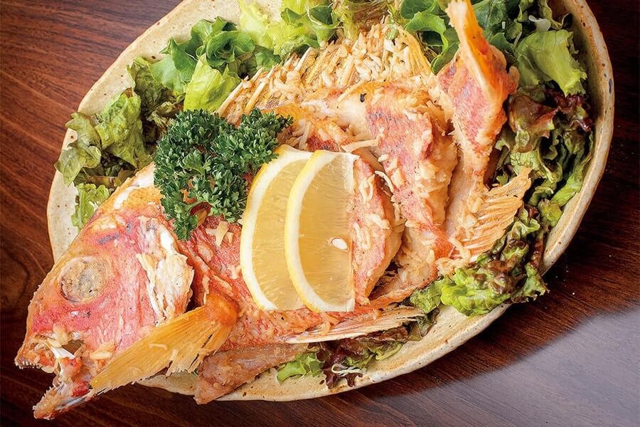 Ashibina Dining Donanchi Shokudo Honten