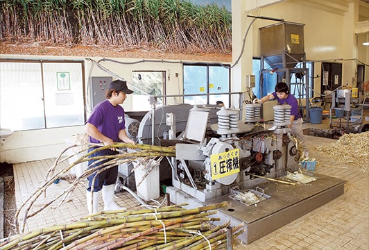 (株)沖繩黑糖