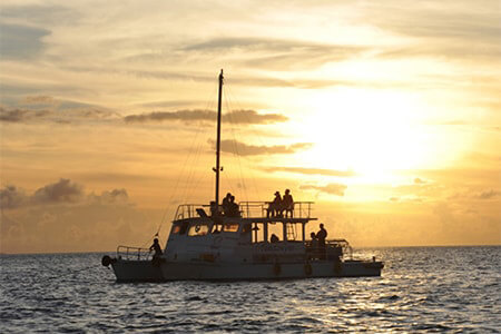 TOM Sawyer Marine Shop