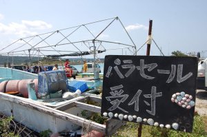拖曳傘的報名處在漁港入口進去約80公尺前方的角落。