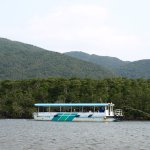 西表島仲間川クルーズ 日本最大規模のマングローブ林を遊覧船で巡るクルーズです