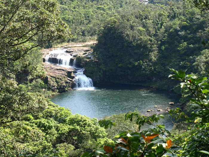 西表島浦内川にあり、日本の滝百選に選ばれている滝