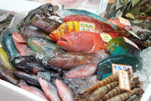 亜熱帯色の新鮮な魚介類 珍しい食材が並ぶ市場内は活気溢れている