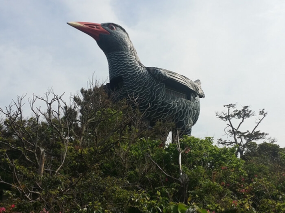 ヤンバルクイナ展望台