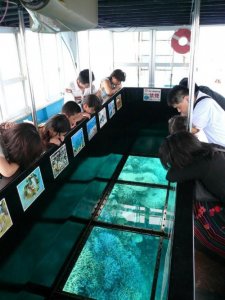 ガラス張りの船底から海中のサンゴや熱帯魚を観察  グラスボートをのぞきこむお客様たちの様子