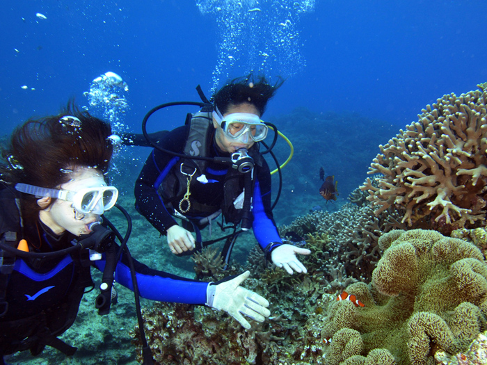 初心者を対象にした体験ダイビング。 珊瑚礁や色とりどりの熱帯魚が目の前を泳ぐ感動の世界を体験できる