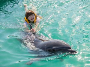 ドルフィンファンスイム  イルカについて学んだあとに、全身水の中に入って遊ぼう。イルカの背びれにつかまって泳ぐこともできる
