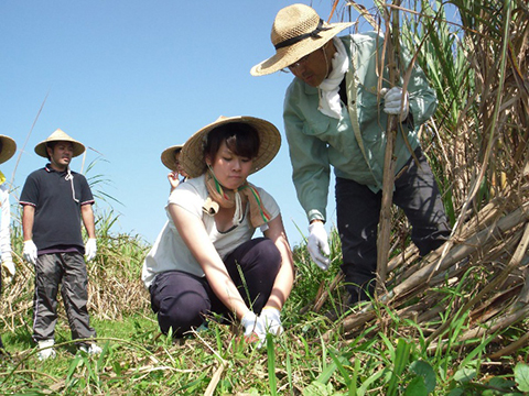 沖縄体験ニライカナイ リッカドッカ沖縄ナビ