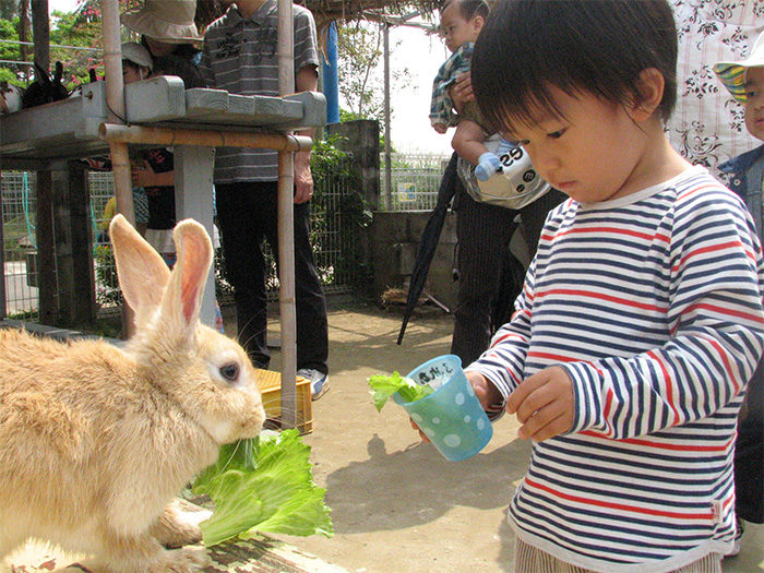 可以接觸到兔子、天竺鼠等小動物的「親近小動物廣場」。
