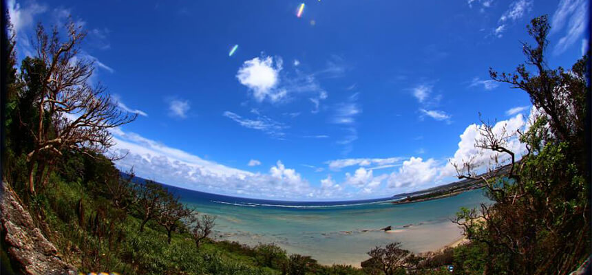 ＃おうちで沖縄旅行フォトコンテスト 結果発表