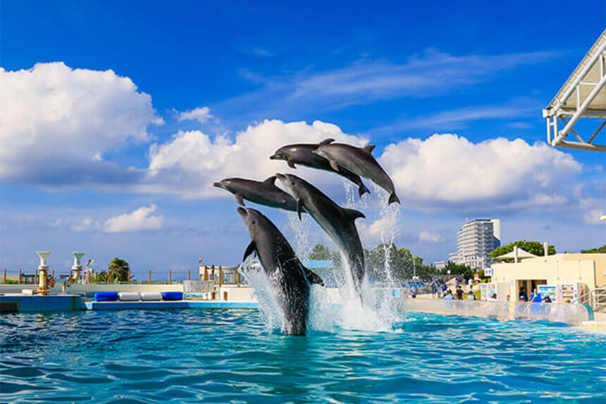 オキちゃん劇場_美ら海水族館