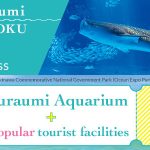 Churaumi TOKUTOKU 5Pass