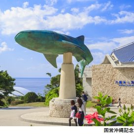 沖縄美ら海水族館