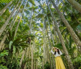 美らヤシパークオキナワ・東南植物楽園