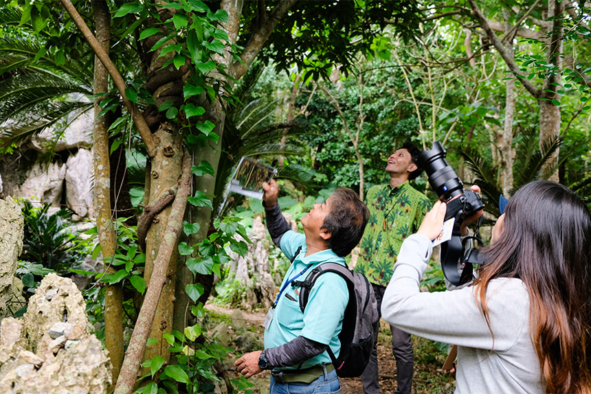 トレッキングコースを進むと、沖縄・やんばるならではの自然に生息する珍しい植物や生き物に遭遇！