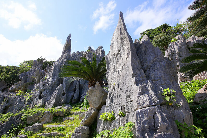 鋭くとがった岩塔（ピナクル）や石灰岩の台地（タワーカルスト）など、変わった形の岩や巨石が多い大石林山の成り立ちをはじめとして、大小160の島々からなる沖縄の成り立ちを、地質学的観点から解説。