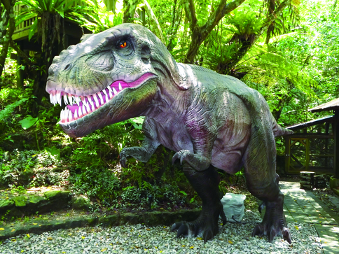 3.DINO恐竜PARKやんばる亜熱帯の森