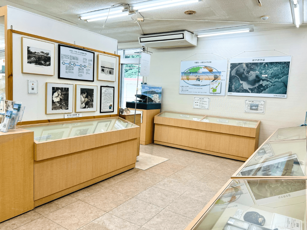 琉球真珠_展示室