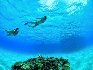 石垣島_ぷしぃぬしま_海中写真_シュノーケリング