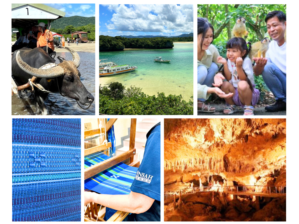 石垣島(秋・冬)旅のプロがおススメ➀~厳選の観光体験・施設編~(石垣島・西表島)