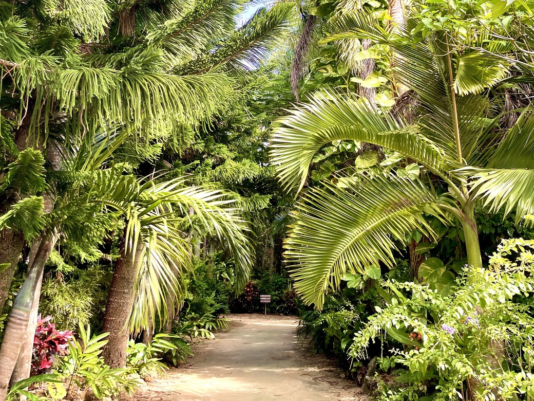 由布島(ゆぶじま) 亜熱帯植物楽園 園内の様子