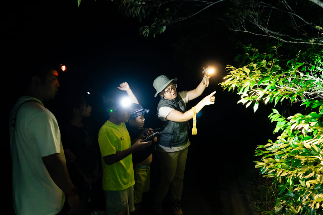 国頭村森林公園_モニタリングツアー