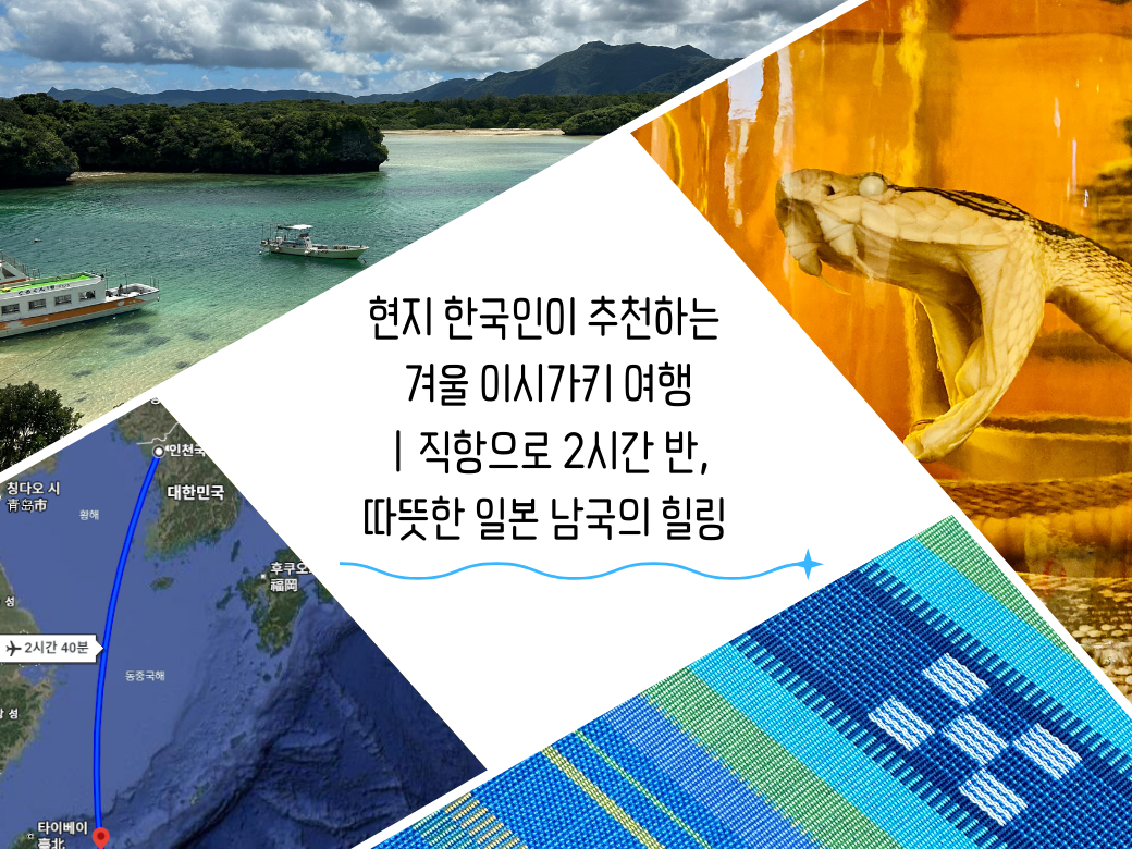 現地韓国人がおすすめする冬の石垣旅行｜直行便で2時間半、暖かい日本南国のヒーリング