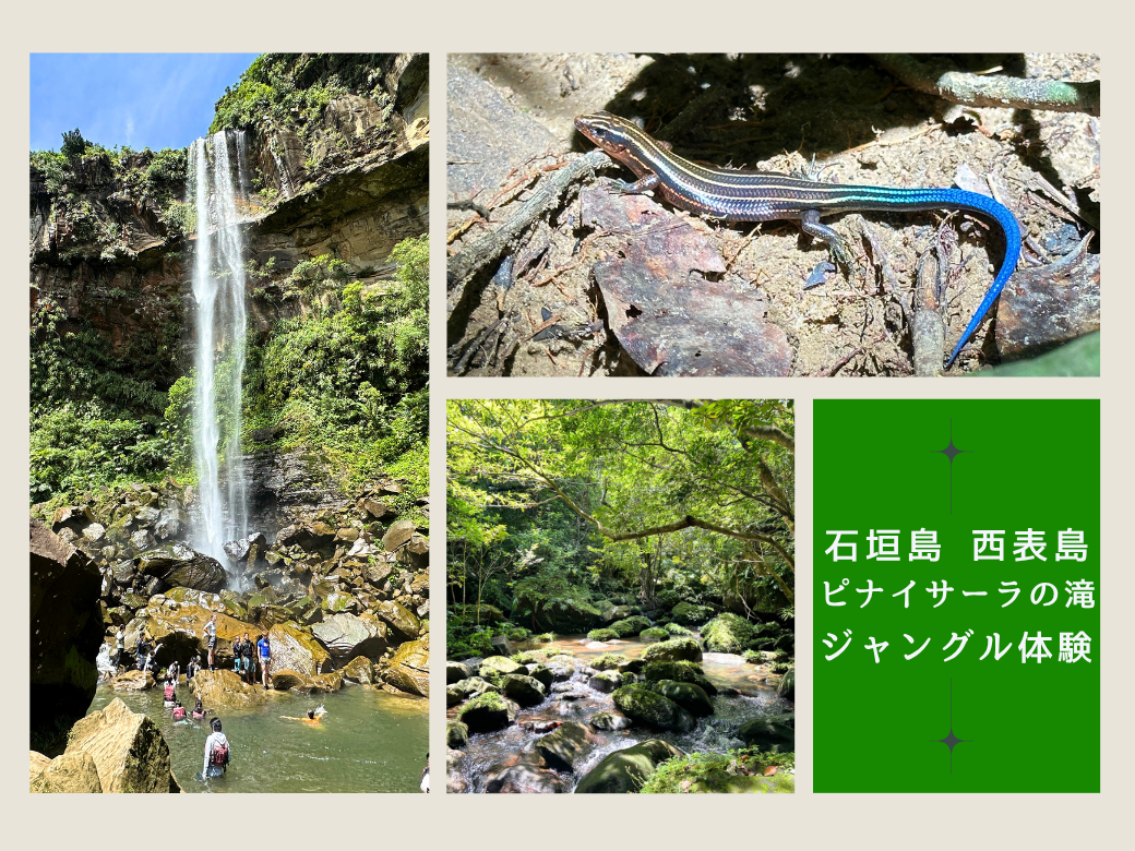 沖縄秋冬旅行のおすすめ|石垣島と西表島「ピナイサーラの滝」で大自然のジャングル体験を!定番アクティビティとホテルで遊びつくそう!(石垣島・竹富島)