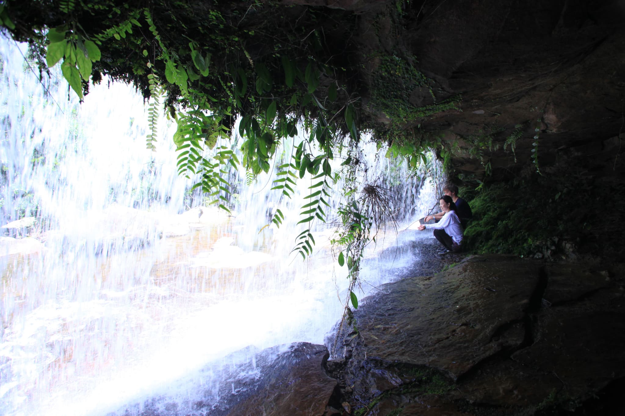 石垣島_平田観光_サンガラの滝