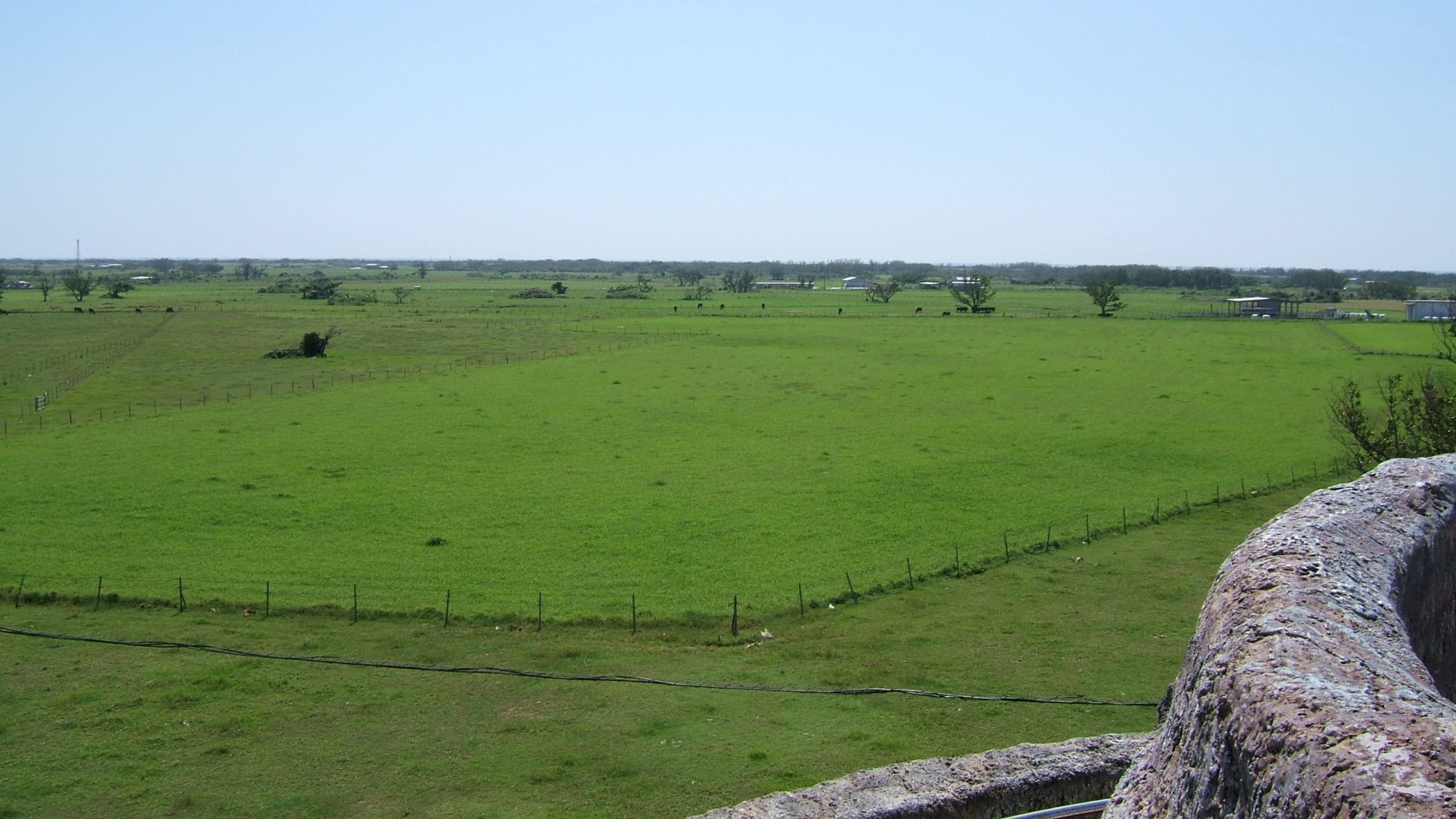 石垣島_平田観光_黒島_牧場景色