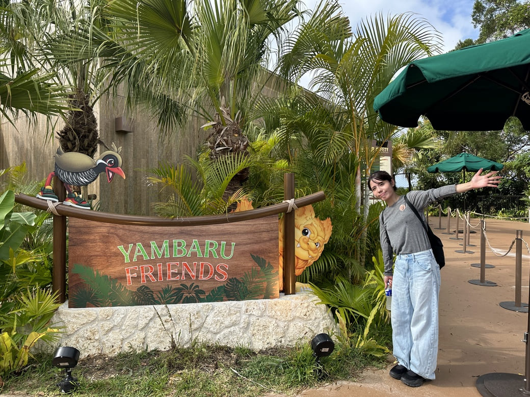 やんばるフレンズ_入口
