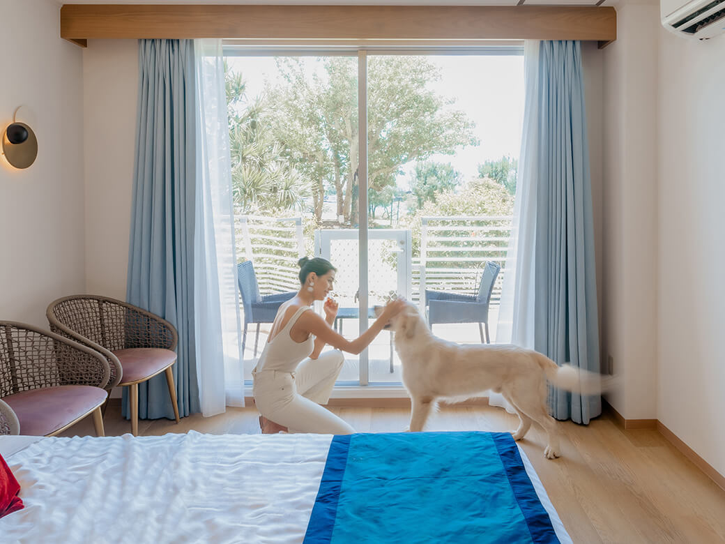 沖縄のペット同伴宿泊施設|愛犬家必見の5選