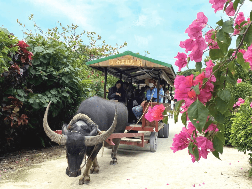 八重山観光フェリー_竹富島