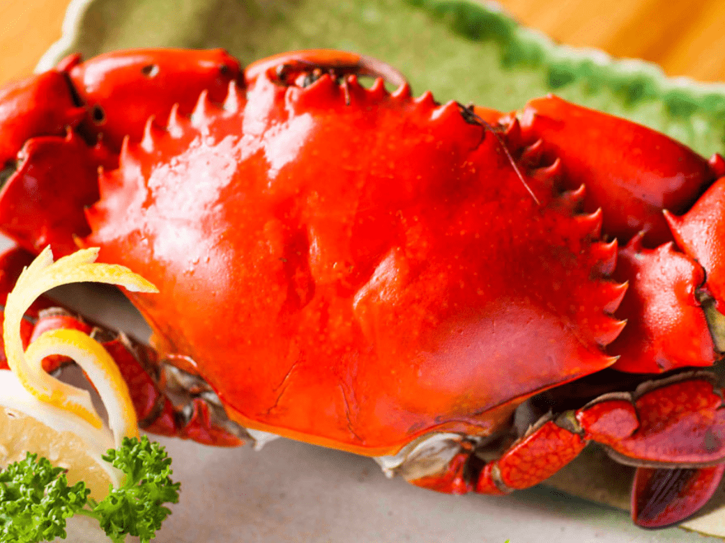 舟蔵の里_ガサミ