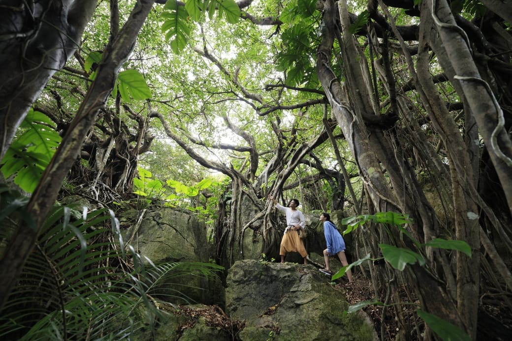 はいむるぶし_なちゅら小浜島探検隊