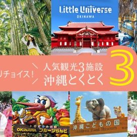 沖縄とくとく3パス