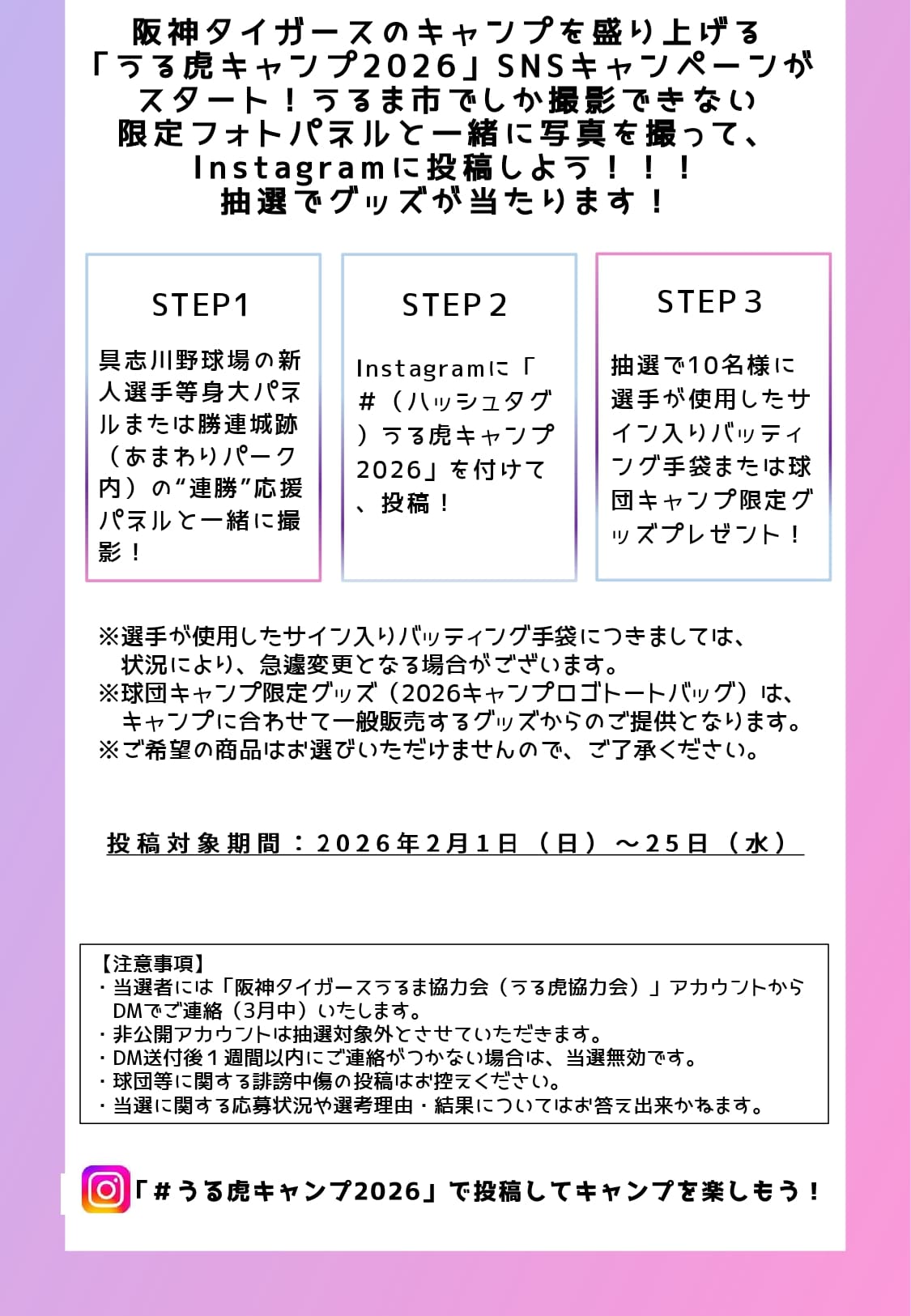 うる虎キャンプ＿SNSキャンペーン02