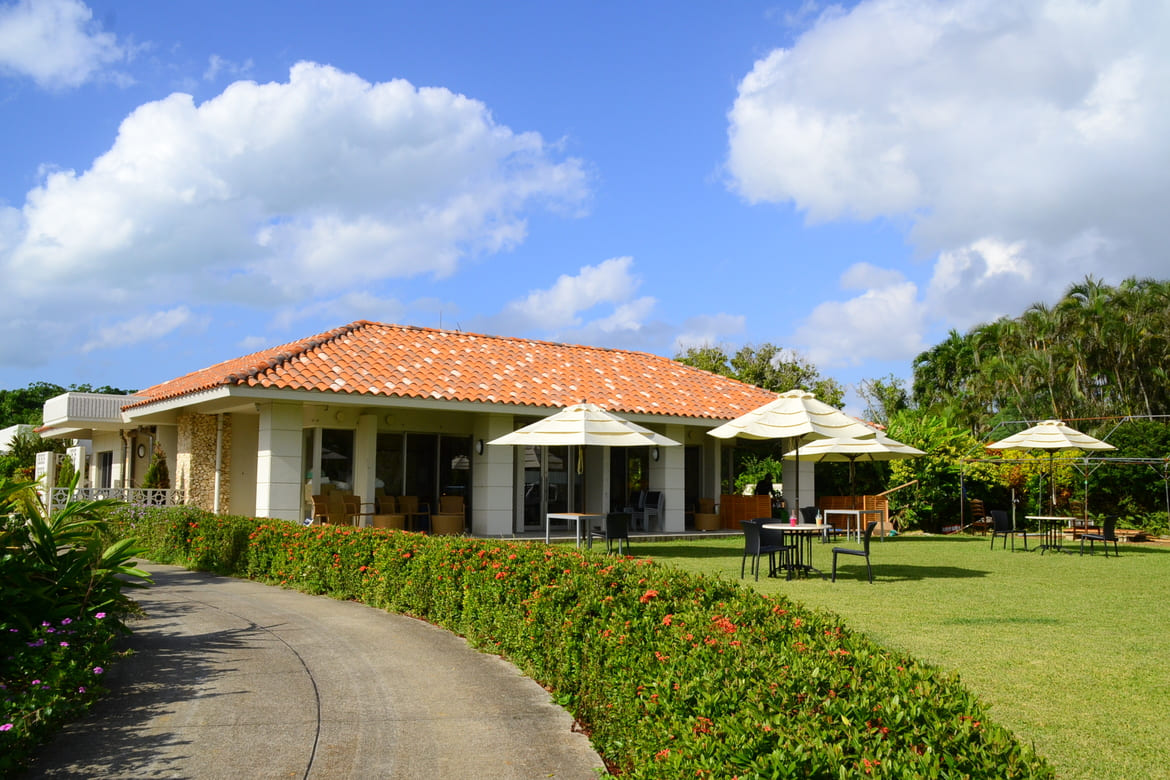 42.まいぱり宮古島熱帯果樹園