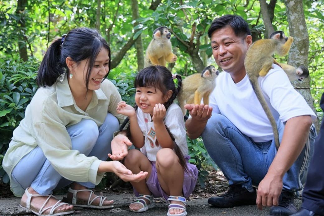 41.石垣やいま村